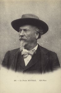 Frederic Mistral (1830-1914), francia költő és az okszitán nyelv lexikográfusa alkotó: French Photographer