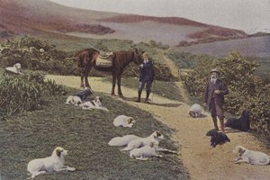 Nyírfajd-lövés Skóciában (színes fotó) alkotó: French Photographer