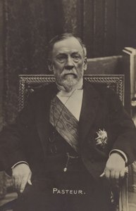 Louis Pasteur (1822-1895), francia kémikus és mikrobiológus alkotó: French Photographer