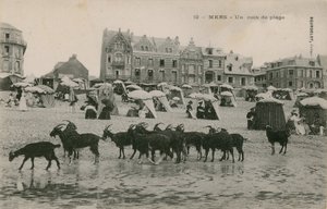 Mers - a strand egy része. 1913-ban feladott képeslap. alkotó: French Photographer
