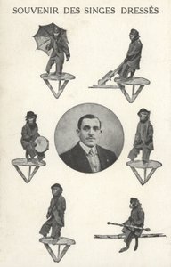 Majmok jelmezben alkotó: French Photographer