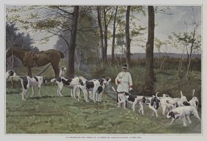 Baron de Carayon-Latour vadászkutyái a franciaországi Virelade-ban (színes fotó) alkotó: French Photographer