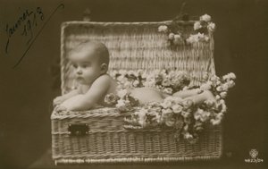 Egy csecsemő képeslapja fonott kosárban virágokkal, 1913 januárjában küldve alkotó: French Photographer