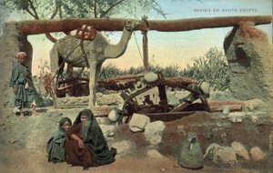 Szakia, Felső-Egyiptom (színes fotó) alkotó: French Photographer