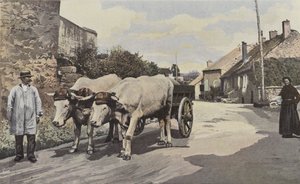 Saulieu, Egy akadozás a Morvanban alkotó: French Photographer