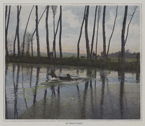 Szarvasúszás, hogy elkerülje a vadászatot (színes fotó) alkotó: French Photographer