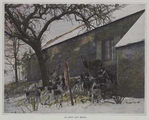 A szarvas az öbölben alkotó: French Photographer