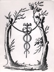 Caduceusban alkotó: French School