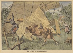Repülőgépet támadó tehén az amerikai középnyugaton (színes litho) alkotó: French School