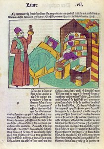 Egy beteg orvossal és gyógyszerészsel, Barthelemy lAnglais Le Livre des Proprietes des Choses-ból, 1485 (színes fametszet) alkotó: French School