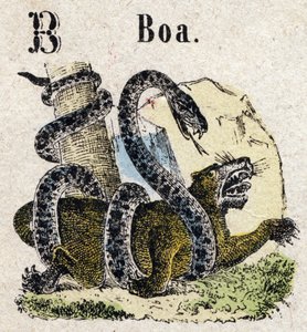 Abecedary. B betű, mint Boa. Kis enciklopédikus ábécé, népszerű sorozat. Epinális képalkotás, 19. század vége alkotó: French School