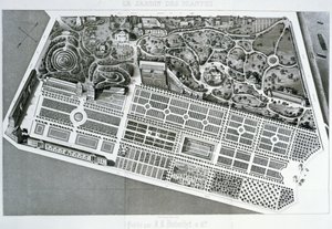 Légifelvétel a párizsi Jardin des Plantes tervéről, 1842 alkotó: French School