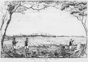 Az Isle of Pines albuma, kilátás a Pines strandról, 1877 alkotó: French School