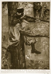 Egy algériai éleslövész dolgozik egy erdő menedékében, 1914-1919 alkotó: French School