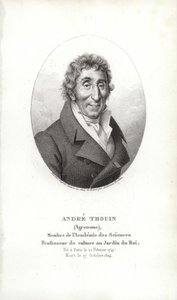 André Thouin alkotó: French School