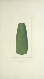 Azték fejsze, illusztráció: Alexander von Humboldt és Aime Bonpland „Kordillerák látképe és Amerika őslakosainak emlékművei” alkotó: French School