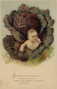Káposztából kibújó baba (chromolitho) alkotó: French School