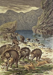 Harc mamutok és kardfogú tigrisek között, Camille Flammarion Le Monde Avant la Creation dHomme című művéből, 1886 alkotó: French School