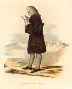 Bernard de Jussieu (színes metszet) alkotó: French School