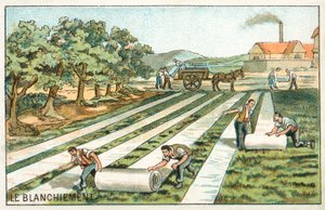 Fehérítés (chromolitho) alkotó: French School