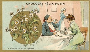 Kamilla tea