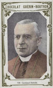 Dubois bíboros (színes fotó) alkotó: French School