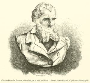 Charles-Alexandre Lesueur természettudós, Le Havre-ban született és halt meg (metszet) alkotó: French School