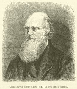 Charles Darwin, decede en avril 1882 (metszet) alkotó: French School
