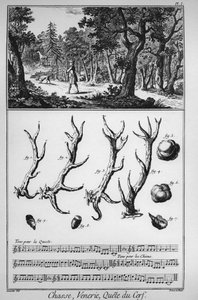 Vadászat – a szarvas keresése – Denis Diderot (1713-1784) és Jean d „” The Great Encyclopedia, vagy Dictionnaire Raisonne des Sciences, des Arts et des Metiers” Alembert (1717-1783). alkotó: French School