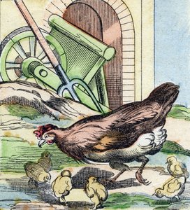 Csirke és csibék. Metszet "Buffon Alphabet des Oiseaux n 2". 3. Serie N 2. Epinal képalkotása, Epinal, 19. század vége. 16 oldal. Mérete: 28x21 cm alkotó: French School