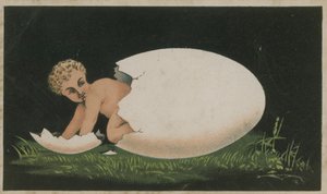 Gyermek kiemelkedik a tojásból alkotó: French School