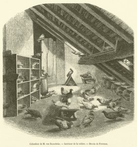 Colombier de M van Roosebeke, Interieur de la aviary (metszet) alkotó: French School