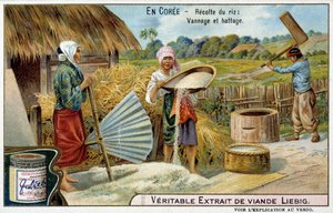 Coree: rizs betakarítás, szövés és cséplés - chromo. LIébig, v.1900 alkotó: French School