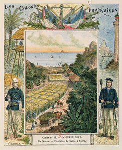 Egy guadeloupe-i cukornádültetvényt ábrázoló iskolai füzet borítója, 1892 alkotó: French School