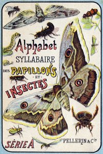 "A lepkék és rovarok szótagábécéje" borítója. Serie A. Pellerin et Cie, nyomdászok-kiadók, Epinal, 19. század vége. Kromolitográfia. Kis 8 oldalas reklámalbum, amely szótagot és képanyagot tartalmaz leíró szövegekkel kísérve. D alkotó: French School