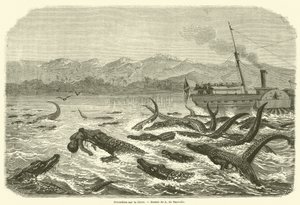 Crocodiles on the Chire (metszet) alkotó: French School