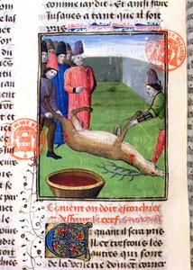 Egy elhullott szarvas lábának levágása a Livre de la Chasse-ból, Gaston Phebus de Foix (1331-91) alkotó: French School