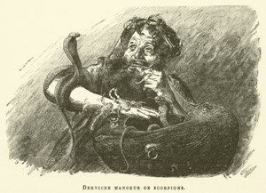Dervish Eater Of Scorpions (metszet) alkotó: French School