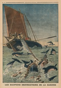 Delfinek pusztítják a szardíniát, címlapillusztráció a "Le Petit Journal" illusztrált mellékletéből, 1913. március 23.