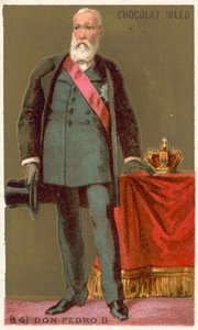 Don Pedro II, Brazília császára alkotó: French School