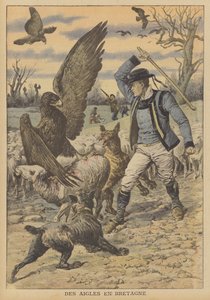 Sasok támadnak egy birkanyájra Bretagne-ban (színes litográfia) alkotó: French School