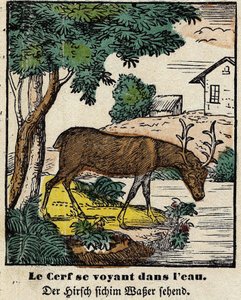 Fables de La Fontaine: a szarvas, aki meglátja magát a vízben. Epinal képe, 19. század első fele alkotó: French School