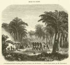 Pálmaolaj gyártása Whydában, Guineában, Rabszolgaparton (metszet) alkotó: French School