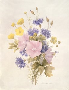 Field Flowers, 1842 (wc papíron) alkotó: French School
