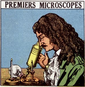 Első mikroszkópok: Huygens. alkotó: French School