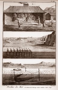 Halászat, hering és szardínia – Peches de Mer – Sorretterie des herring et des sardines – „” La Grande Encyclopédie, ou Dictionnaire Raisonne des Sciences, des Arts et des Metiers”” (Encyclopedia vagy Dictionary of the Sciences, Arts and Professions) Deni alkotó: French School