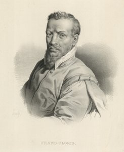 Frans Floris flamand művész