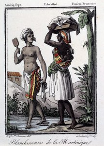 Francia gyarmatok: fehérítők Martinique-tól Nyugat-Indiáig. Metszet 1805-ből. Chartres, Szépművészeti Múzeum alkotó: French School