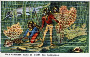 Futuredays: A 2000. évi tizenkilencedik századi vízió – „” 2000-ben” sorozat: Egy tisztás a Sargasso-erdőben (tenger alatt). Kromolitográfia, Villemard alkotó: French School