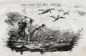 Liba és darvak – Fable d